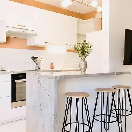 Le Calmette - Confort Centre 公寓 戛纳